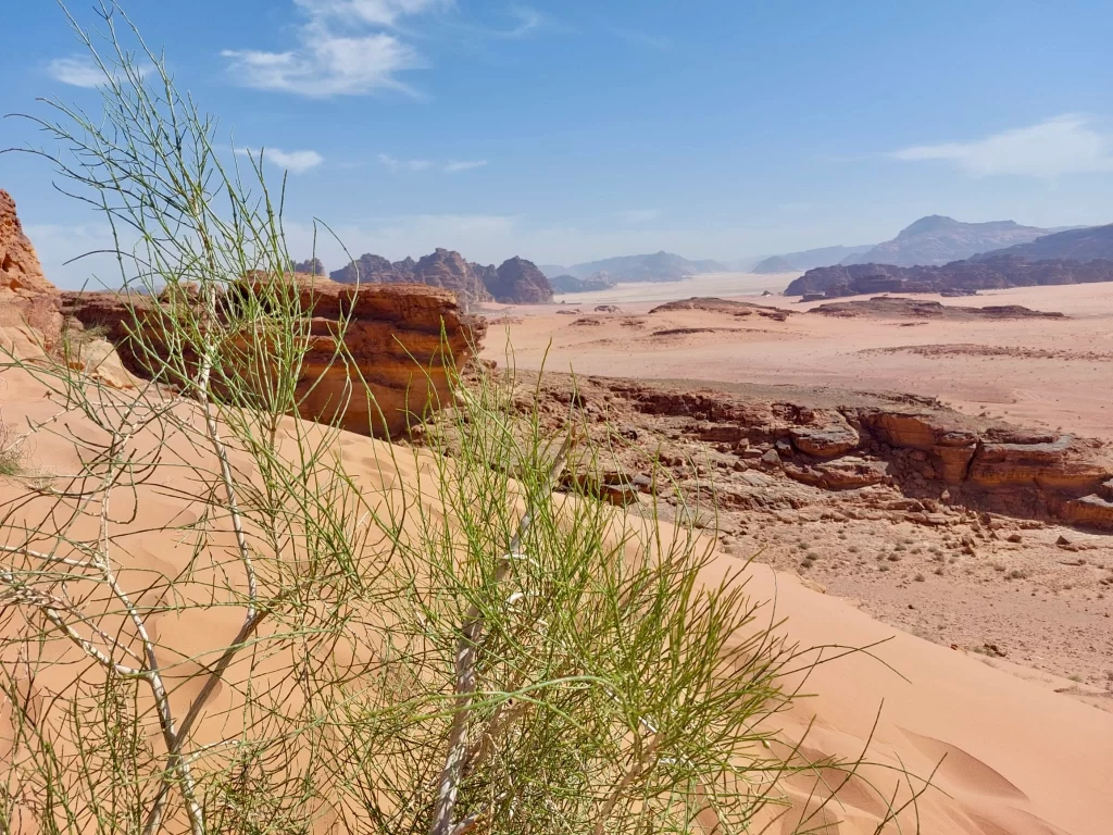 Wadi Rum