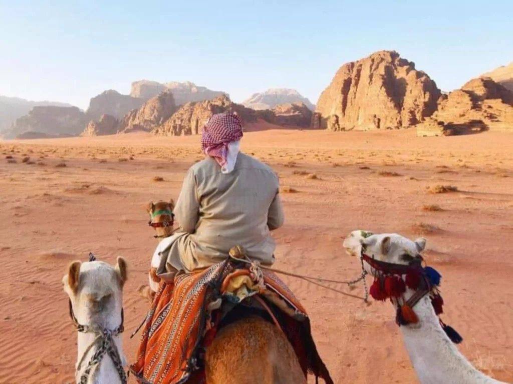 Wadi Rum velbloudi